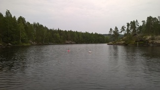 Kesäretkiristeily Konneveden kansallispuistoon 12.8.2017.
Kuvaaja: Tuomo Paananen.