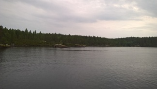 Kesäretkiristeily Konneveden kansallispuistoon 12.8.2017.
Kuvaaja: Tuomo Paananen.