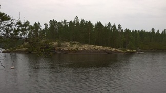 Kesäretkiristeily Konneveden kansallispuistoon 12.8.2017.
Kuvaaja: Tuomo Paananen.