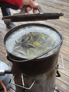 Kesäretkiristeily Konneveden kansallispuistoon 12.8.2017.