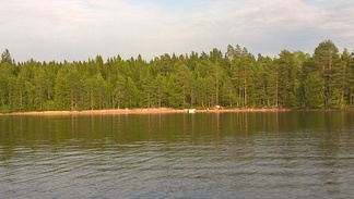 Kesäretkiristeily Konneveden kansallispuistoon 12.8.2017.
Kuvaaja: Tuomo Paananen.